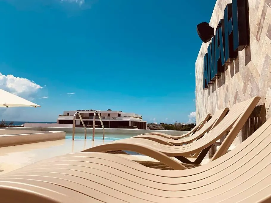 **Stunning **Brand New Apart On 5Th Ave Lägenhet Playa del Carmen