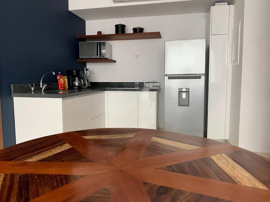 **Stunning **Brand New Apart On 5Th Ave Apartment Playa del Carmen