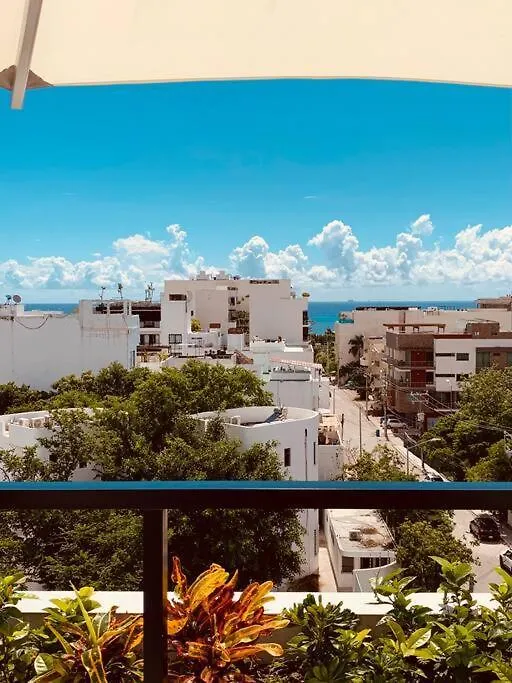 **Stunning **Brand New Apart On 5Th Ave Apartment Playa del Carmen