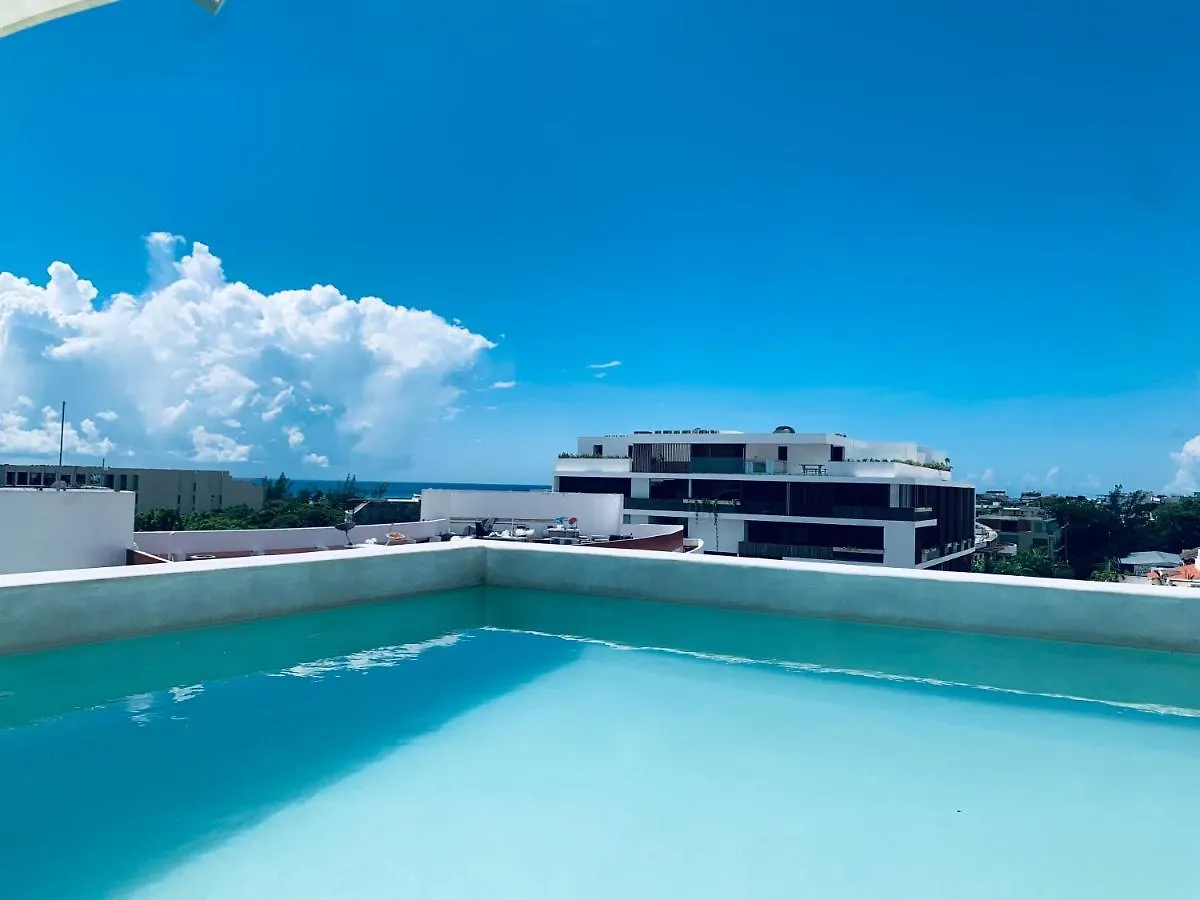 **Stunning **Brand New Apart On 5Th Ave Apartment Playa del Carmen Mexico