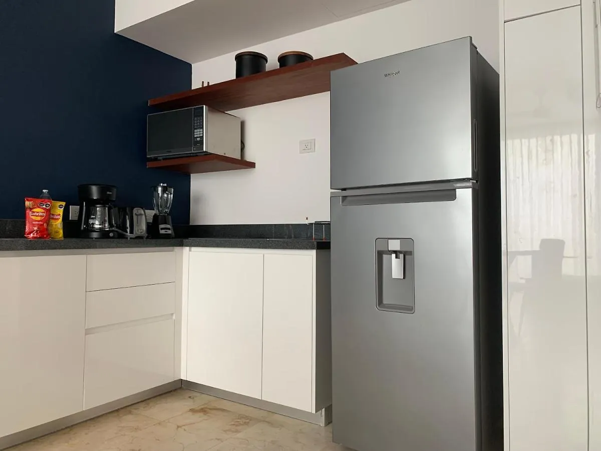 **Stunning **Brand New Apart On 5Th Ave Apartment Playa del Carmen