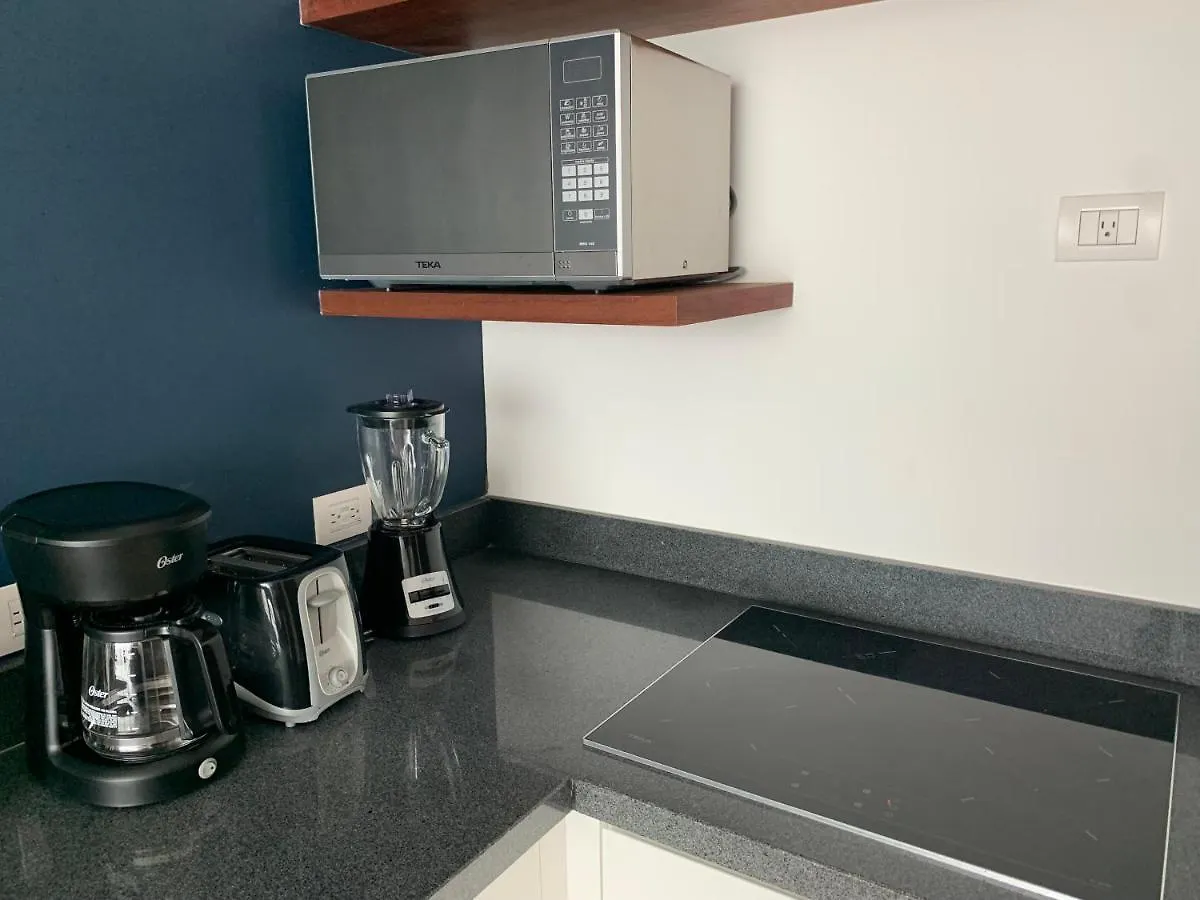 **Stunning **Brand New Apart On 5Th Ave Apartment Playa del Carmen