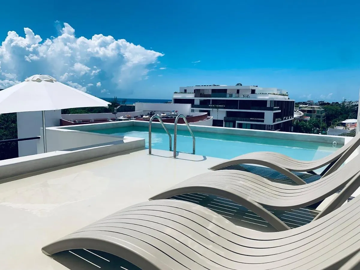 **Stunning **Brand New Apart On 5Th Ave Apartment Playa del Carmen Mexico