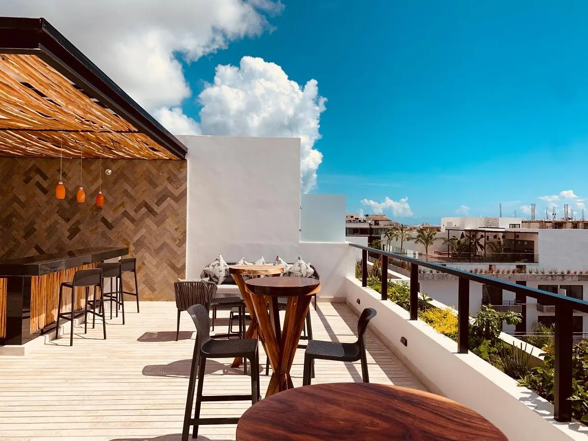 **Stunning **Brand New Apart On 5Th Ave Apartment Playa del Carmen